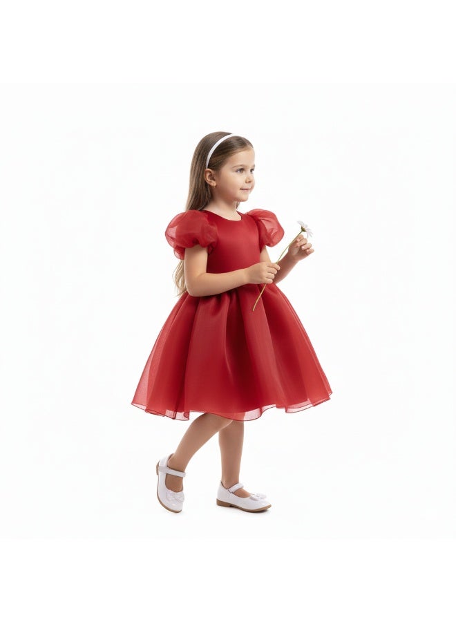 D'Daniela Organza Puff Sleeve Dress - Image 3